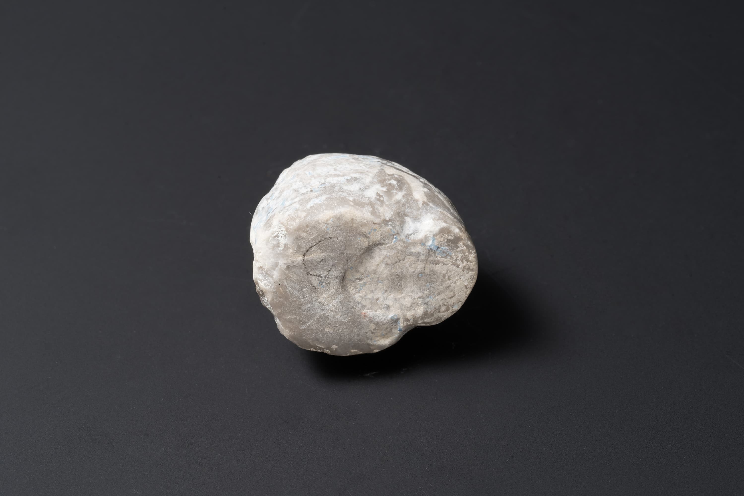 アンモノイド　グラフィリテス？23画像2