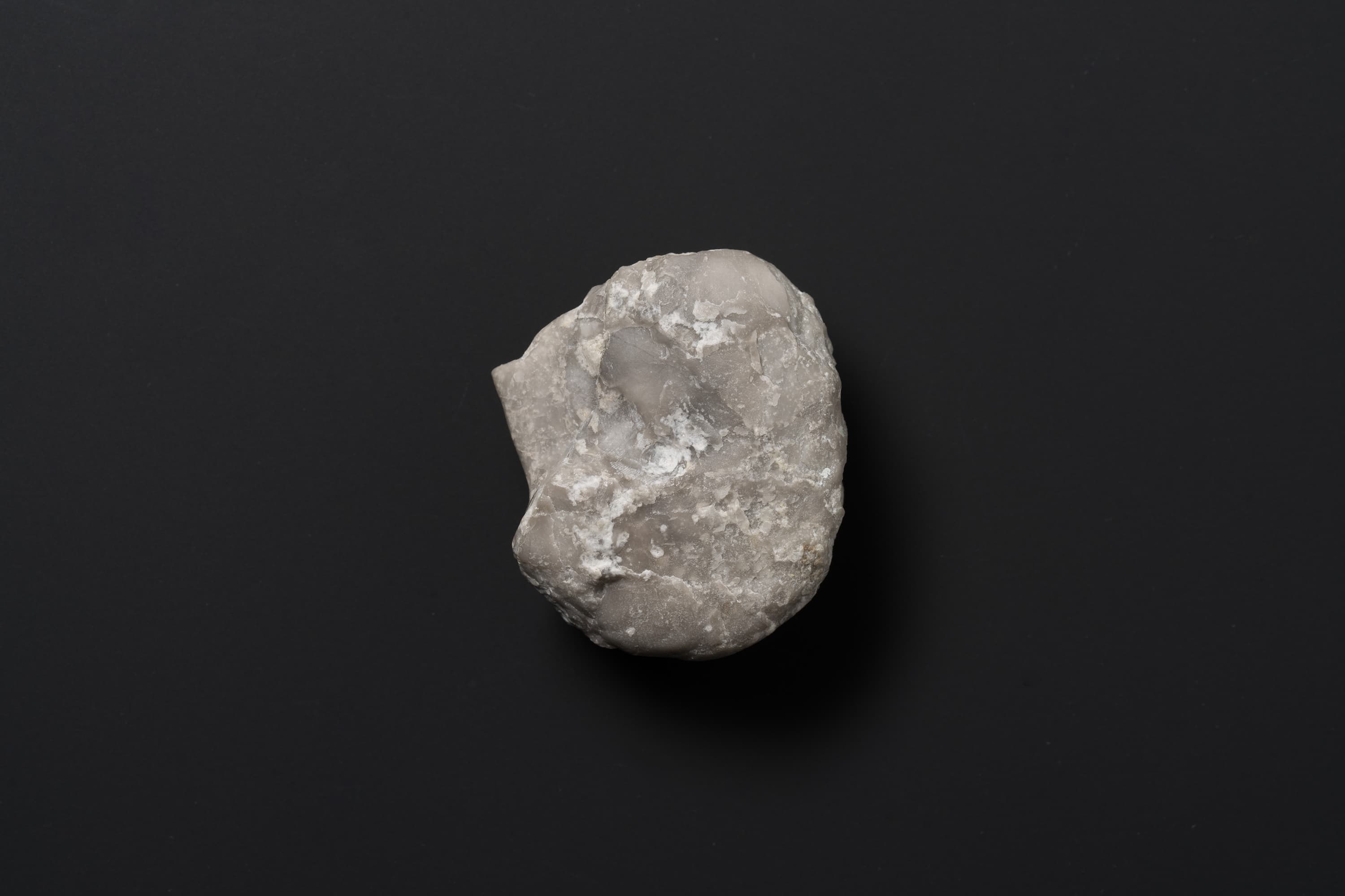 アンモノイド　シュードプロノリテス30画像1