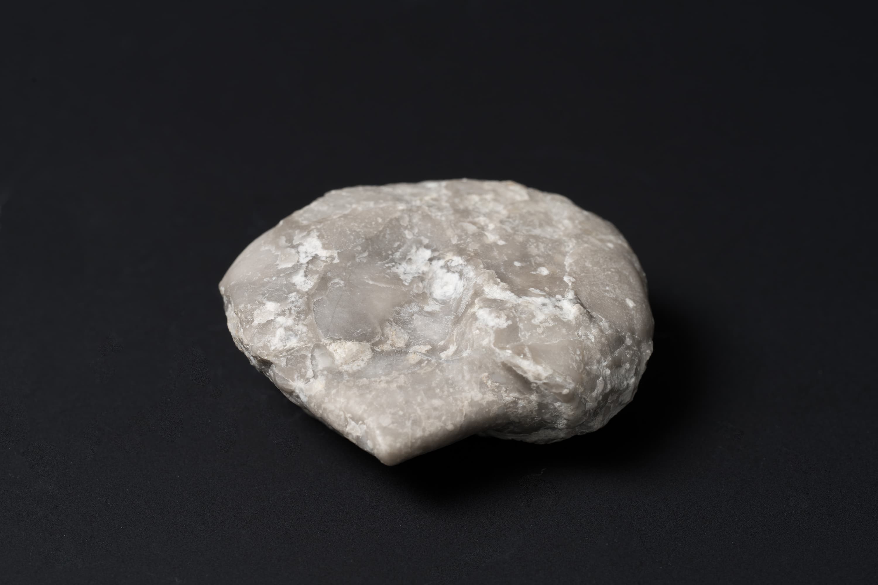 アンモノイド　シュードプロノリテス30画像2