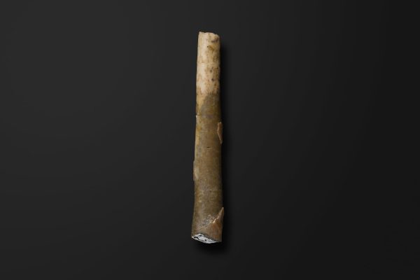 アンモナイト　レキテス コモリイ画像