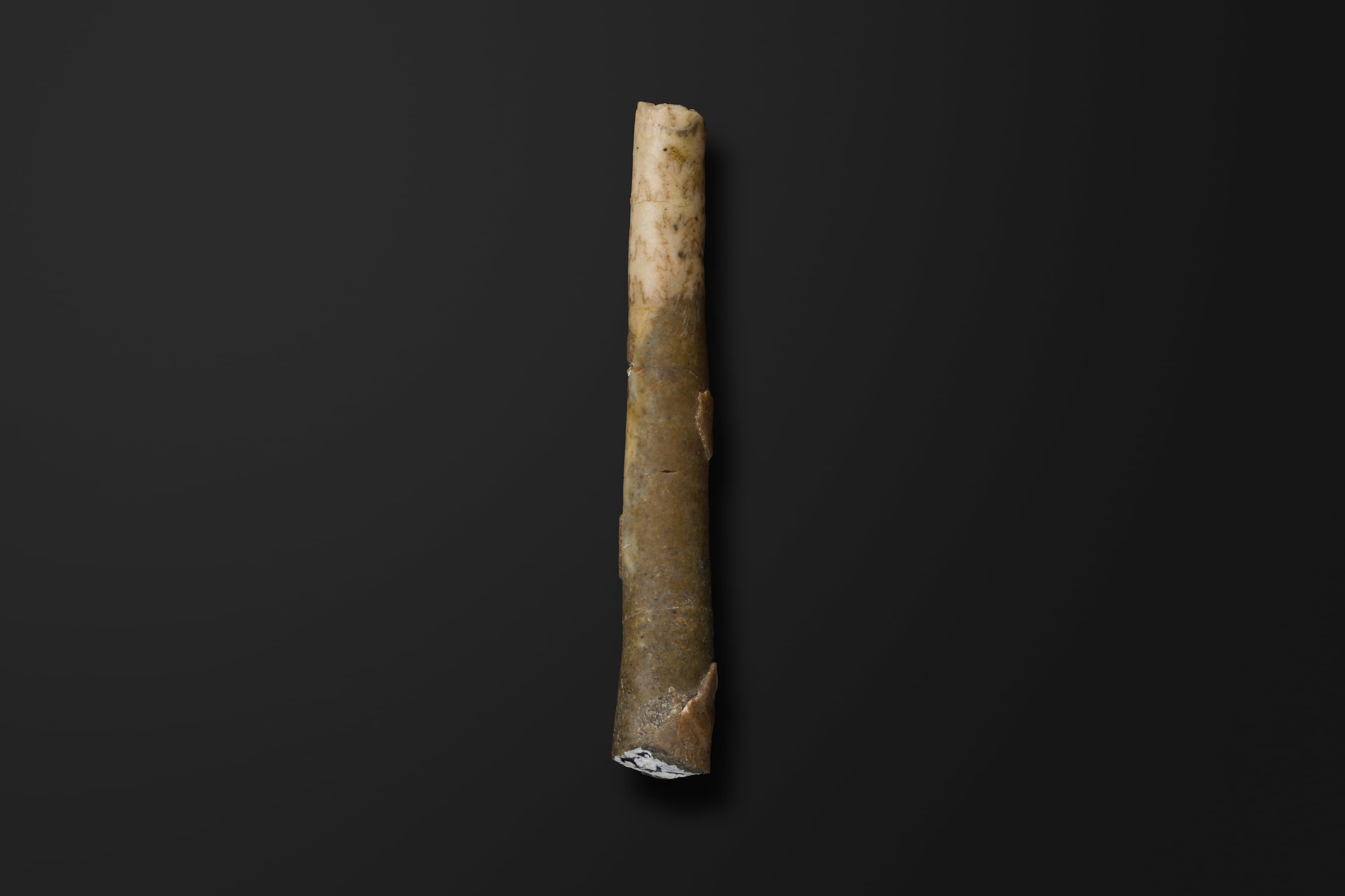 アンモナイト　レキテス コモリイ1-21-1