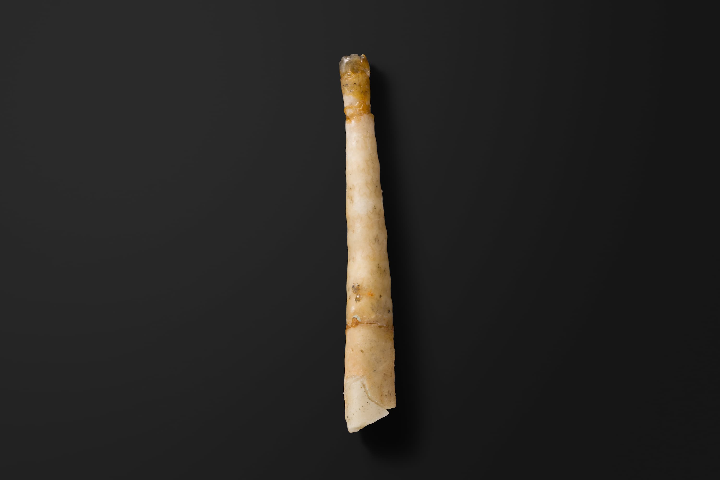 アンモナイト　レキテス コモリイ1-22-1