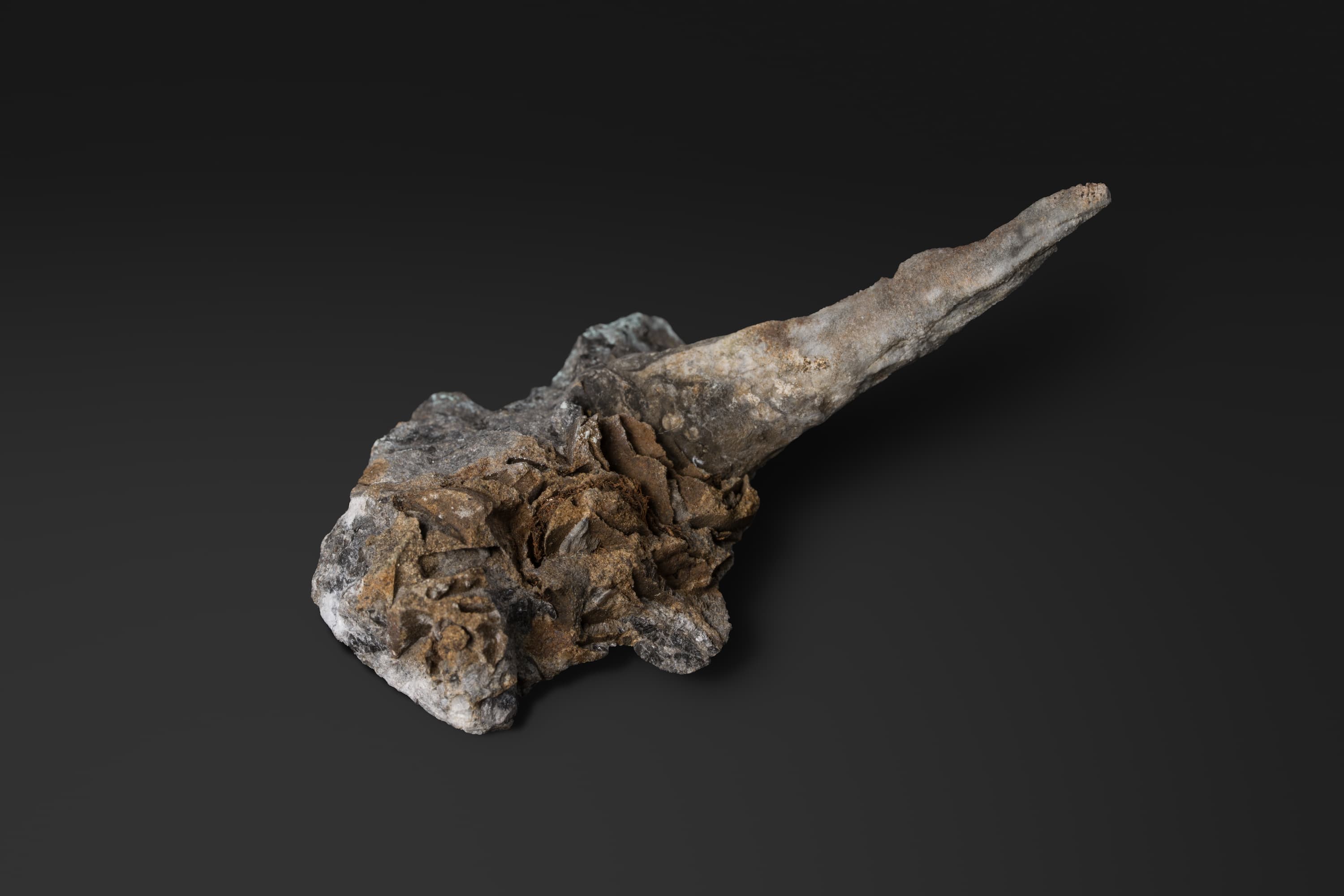 ベレムナイト　シーチュアノベルス ウタツエンシス？2